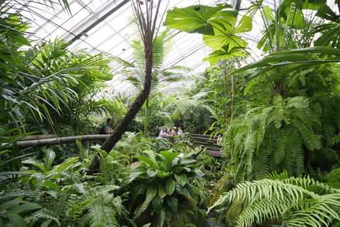 Australian Butterfly Sanctuary - Accommodation Daintree 3