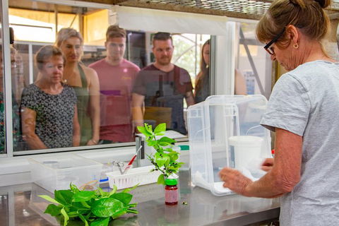 Australian Butterfly Sanctuary - Accommodation Daintree 5