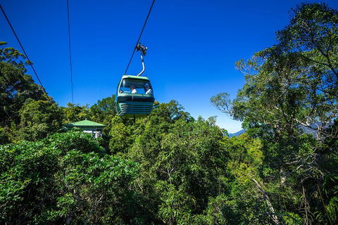 Classic Kuranda By Skyrail And Scenic Railway Including Rainforestation, Koala And Wildlife Park And Pamagirri Aboriginal Experi - Accommodation Daintree 0