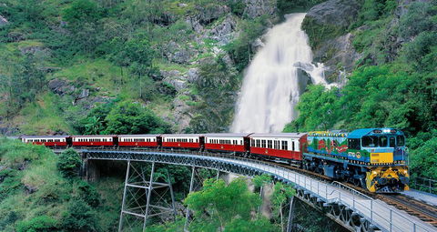 Classic Kuranda By Skyrail And Scenic Railway Including Rainforestation, Koala And Wildlife Park And Pamagirri Aboriginal Experi - Accommodation Daintree 1