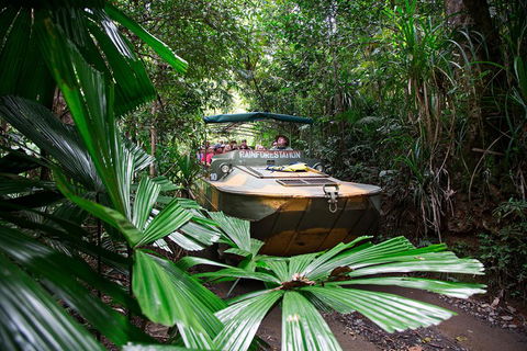 Classic Kuranda By Skyrail And Scenic Railway Including Rainforestation, Koala And Wildlife Park And Pamagirri Aboriginal Experi - Accommodation Daintree 4