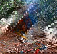 Kuranda Highlights including Rainforestation Aboriginal Culture and Wildlife - Accommodation Daintree