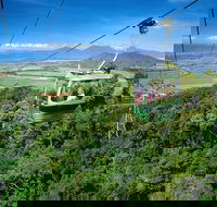 Best of Kuranda Including Skyrail Kuranda Scenic Railway and Rainforestation - Accommodation Daintree