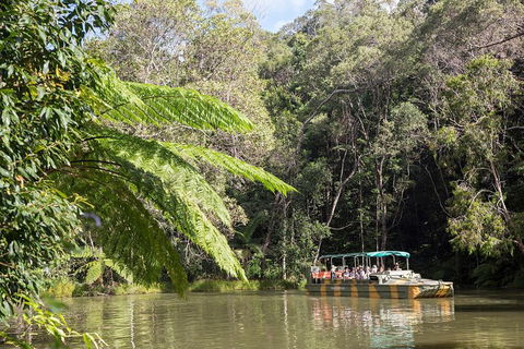 Best Of Kuranda Including Skyrail, Kuranda Scenic Railway And Rainforestation - Accommodation Daintree 5