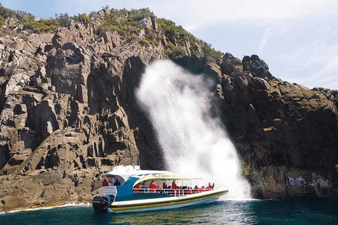 Full-Day Bruny Island Cruises Day Tour From Hobart - Accommodation Daintree 4