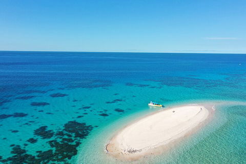 Ocean Safari Great Barrier Reef Experience In Cape Tribulation - Accommodation Daintree 0