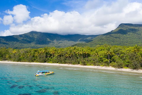Ocean Safari Great Barrier Reef Experience In Cape Tribulation - Accommodation Daintree 2