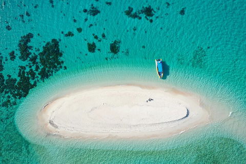 Ocean Safari Great Barrier Reef Experience In Cape Tribulation - Accommodation Daintree 3