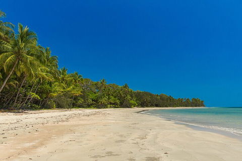 Ocean Safari Great Barrier Reef Experience In Cape Tribulation - Accommodation Daintree 4