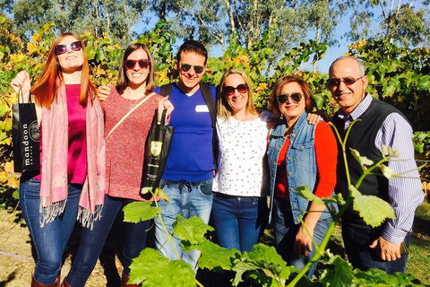 Wine Tasting Day Trip And Swan Valley River Cruise To Perth - Accommodation Daintree 2