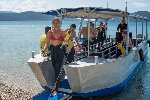 Fitzroy Island Day Trip From Cairns - Accommodation Daintree 5