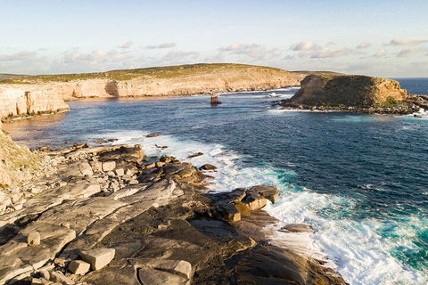 One Day Port Lincoln Tour - Tasting Eyre - Accommodation Daintree 3