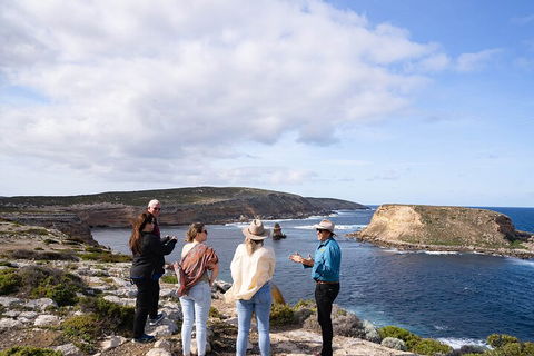 One Day Port Lincoln Tour - Tasting Eyre - Accommodation Daintree 4