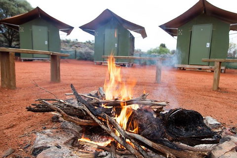 4 Day/3 Night Perentie Dreaming Safari - Accommodation Daintree 1