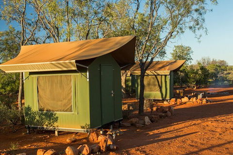 4 Day/3 Night Perentie Dreaming Safari - Accommodation Daintree 2