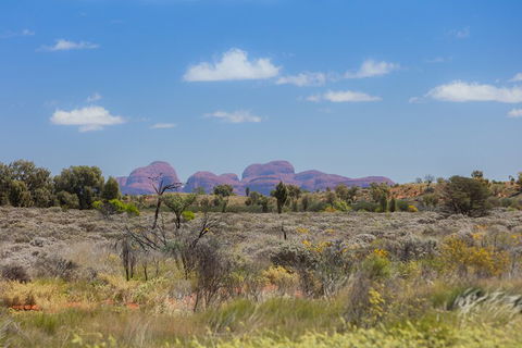 Overnight Uluru (Ayers Rock) Small-Group Camping Tour - Accommodation Daintree 0