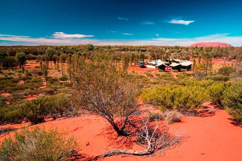 Overnight Uluru (Ayers Rock) Small-Group Camping Tour - Accommodation Daintree 2