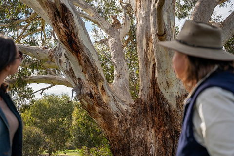NEW TOUR - Kangaroo Island Road To Recovery Tour (1 Day/1 Night) - Accommodation Daintree 0