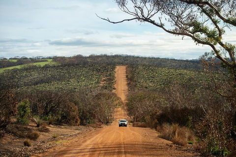 NEW TOUR - Kangaroo Island Road To Recovery Tour (1 Day/1 Night) - Accommodation Daintree 2