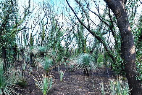 NEW TOUR - Kangaroo Island Road To Recovery Tour (1 Day/1 Night) - Accommodation Daintree 3