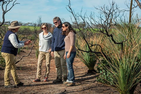 NEW TOUR - Kangaroo Island Road To Recovery Tour (1 Day/1 Night) - Accommodation Daintree 4