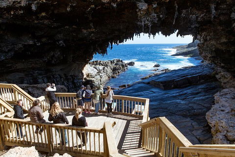 Full Day Flinders Chase Tour From Kangaroo Island - Accommodation Daintree 1