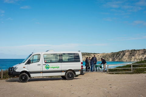 Full Day Flinders Chase Tour From Kangaroo Island - Accommodation Daintree 3