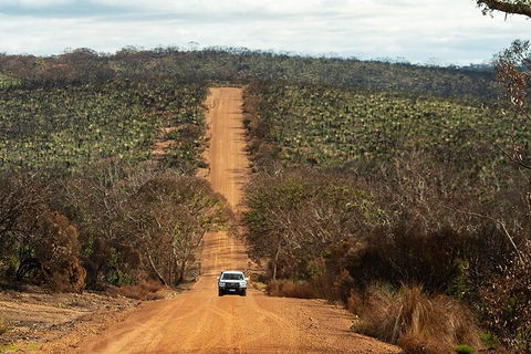 Full Day Flinders Chase Tour From Kangaroo Island - Accommodation Daintree 4