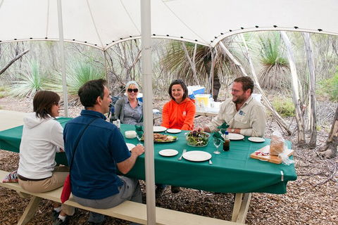Full Day Seal Bay Experience Departing From Kangaroo Island - Accommodation Daintree 1