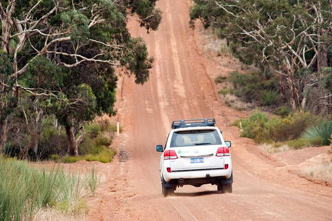Full Day Seal Bay Experience Departing From Kangaroo Island - Accommodation Daintree 2