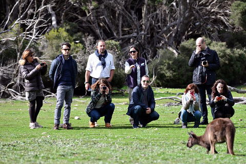 Small-Group Kangaroo Island 4WD Tour From Adelaide - Accommodation Daintree 2
