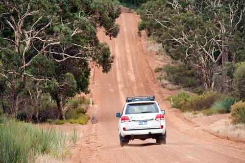 Small-Group Kangaroo Island 4WD Tour From Adelaide - Accommodation Daintree 3