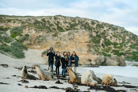 Small-Group Kangaroo Island 4WD Tour From Adelaide - Accommodation Daintree 4