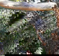 Small-Group Great Ocean Road Day Trip from Melbourne - Accommodation Daintree