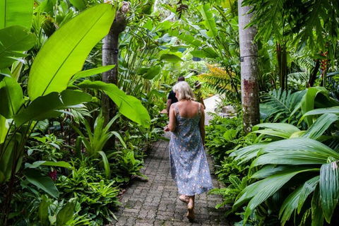 Cairns City Sights And Surrounds Tour - Accommodation Daintree 2