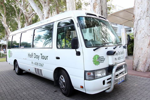 Cairns City Sights And Surrounds Tour - Accommodation Daintree 4