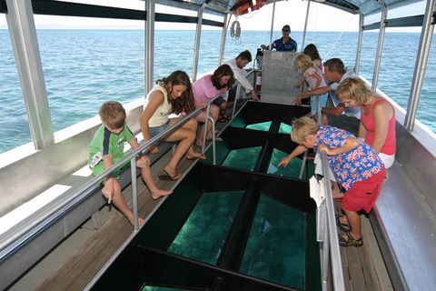 Cairns City Sights And Surrounds Tour - Accommodation Daintree 5