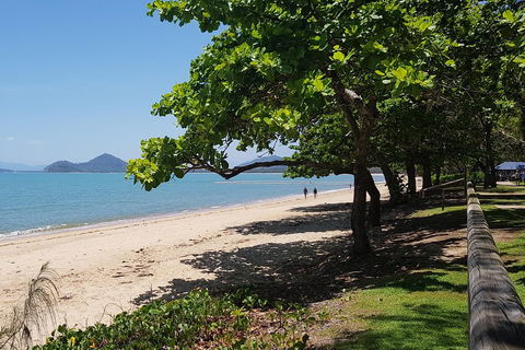 Small-Group Afternoon Cairns City Tour With Harbour Dinner Cruise - Accommodation Daintree 1