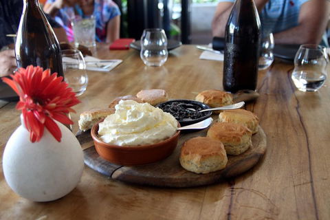 Small-Group Afternoon Cairns City Tour With Harbour Dinner Cruise - Accommodation Daintree 3