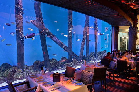 Cairns Aquarium And Small Group City Sightseeing Tour - Accommodation Daintree 4