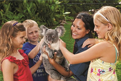 Kuranda Koala Gardens General Entry Ticket - Accommodation Daintree 0