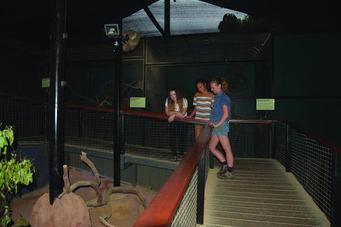 Kuranda Koala Gardens General Entry Ticket - Accommodation Daintree 2