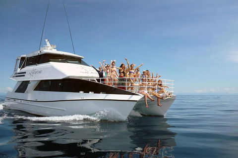 Seastar Luxury Outer Great Barrier Reef Island And Reef Tour From Cairns - Accommodation Daintree 4