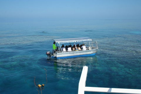 Seastar Luxury Outer Great Barrier Reef Island And Reef Tour From Cairns - Accommodation Daintree 5