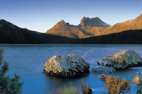 Cradle Mountain Day Tour From Launceston Including Lunch - Accommodation Daintree 2