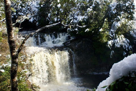Cradle Mountain Park Explorer Guided Tour - Accommodation Daintree 4