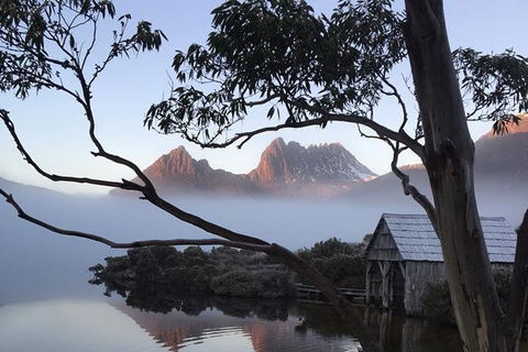 Cradle Mountain Park Explorer Guided Tour - Accommodation Daintree 5