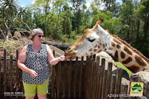 Small-Group Australia Zoo Day Trip From Brisbane - Accommodation Daintree 2