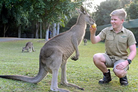 Small-Group Australia Zoo Day Trip From Brisbane - Accommodation Daintree 4
