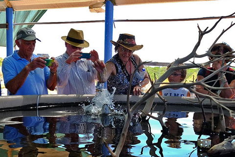 Cape Leveque 4WD Tour From Broome With Optional Return Flight - Accommodation Daintree 0